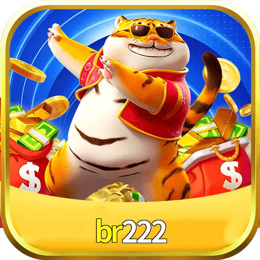 Logo da br222